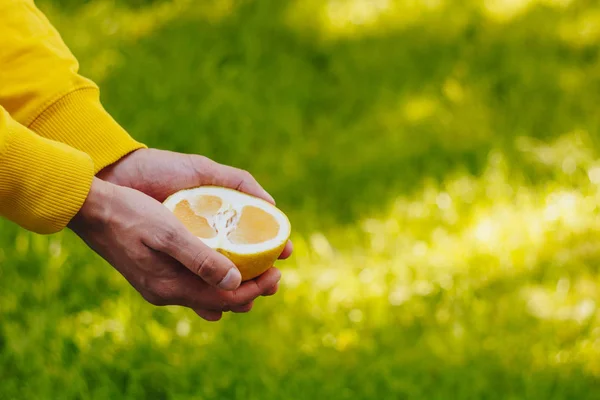 Man holds in his hand half of the cuted yellow orange on the background of trees in the park and green grass. sunny day, summer. citrus closeup. — Stock Photo, Image