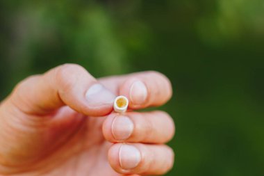 Sigara doğa yeşil ağaçlar arka planı üzerinde bir sakallı bir adam elinde sönmüş. Nikotin filtre. Sağlıksız yaşam tarzı. Yakın çekim. sigara izmariti. Macrophoto