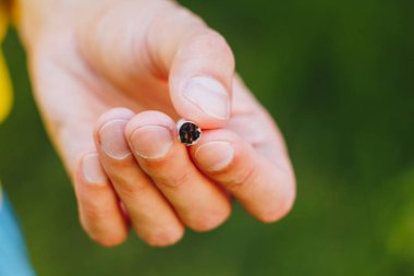 Sigara doğa yeşil ağaçlar arka planı üzerinde bir sakallı bir adam elinde sönmüş. Nikotin filtre. Sağlıksız yaşam tarzı. Yakın çekim. sigara izmariti. Macrophoto