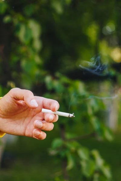 smoldering cigarette in a man\'s hand in nature against the backdrop of green trees. Nicotine tobacco smoke. Unhealthy Lifestyle. Close up ash. Harmful habit for health. Environmental pollution.