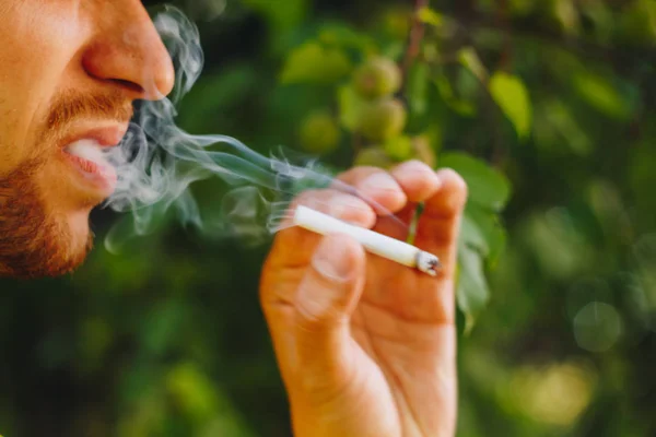 Cigarrillo humeante en la mano de un hombre con barba en la naturaleza sobre el fondo de árboles verdes. Humo de tabaco de nicotina. Estilo de vida insalubre. Primer plano, ceniza. Vacaciones para fumadores — Foto de Stock