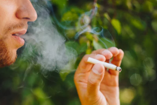 Cigarrillo humeante en la mano de un hombre con barba en la naturaleza sobre el fondo de árboles verdes. Humo de tabaco de nicotina. Estilo de vida insalubre. Primer plano, ceniza. Vacaciones para fumadores — Foto de Stock