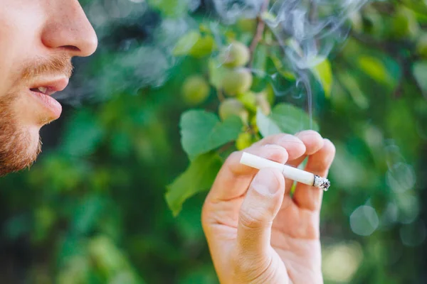 Cigarrillo humeante en la mano de un hombre con barba en la naturaleza sobre el fondo de árboles verdes. Humo de tabaco de nicotina. Estilo de vida insalubre. Primer plano, ceniza. Vacaciones para fumadores —  Fotos de Stock