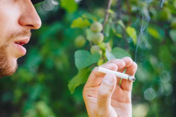 Cigarrillo humeante en la mano de un hombre con barba en la naturaleza sobre el fondo de árboles verdes. Humo de tabaco de nicotina. Estilo de vida insalubre. Primer plano, ceniza. Vacaciones para fumadores —  Fotos de Stock