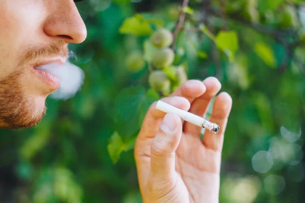 Cigarrillo humeante en la mano de un hombre con barba en la naturaleza sobre el fondo de árboles verdes. Humo de tabaco de nicotina. Estilo de vida insalubre. Primer plano, ceniza. Vacaciones para fumadores — Foto de Stock