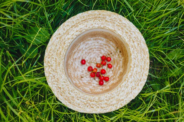 Few ripe fruits of sweet cherry with twig on straw hat lying on the grass outdoors. Picnic on nature in the park close up healthy food, diet, personal care. sunny day. — Stock Photo, Image