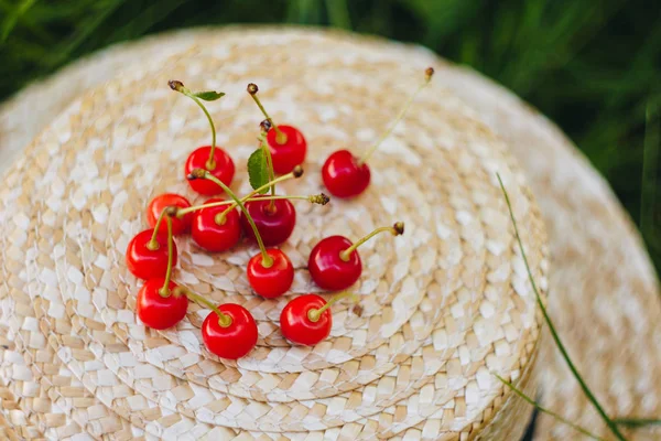 Несколько спелых фруктов сладкой вишни с веткой на соломенной шляпе, лежащей на траве на открытом воздухе. Пикник на природе в парке закрывает здоровую пищу, диету, уход за собой. солнечный день . — стоковое фото