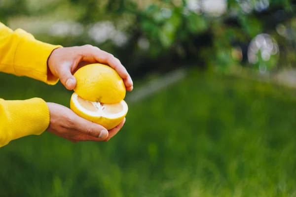 A man is holding two halves of a yellow citrus cut in half against the background of trees and grass. healthy eating, proper nutrition, organic food, close-up, picnic, summer — Stock Photo, Image