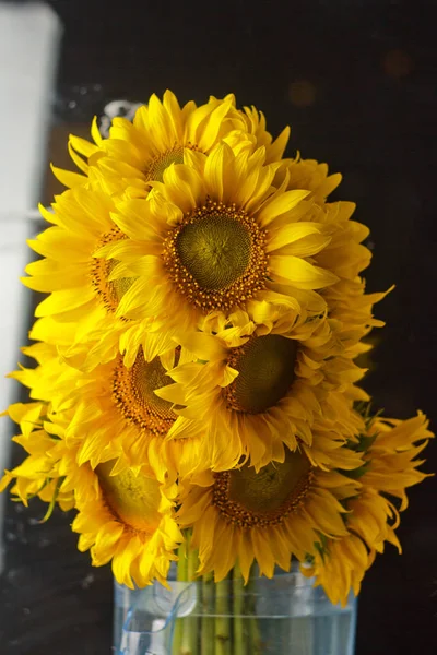 beautiful bouquet of warm pollen yellow flowers of an unripe sunflower close-up on black background, top view, summer, autumn, background for a postcard