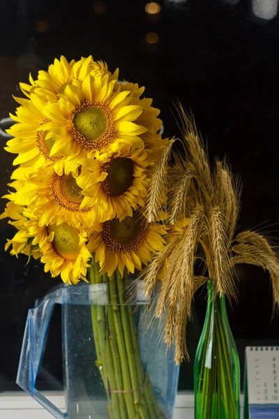 Schöner Strauß warmer Pollen gelber Blüten einer unreifen Sonnenblume in Nahaufnahme auf schwarzem Hintergrund, Draufsicht, Sommer, Herbst, Hintergrund für eine Postkarte — Stockfoto