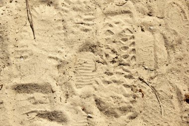 kumlu toprak yakın çekim. ayak izi ve lastik doku