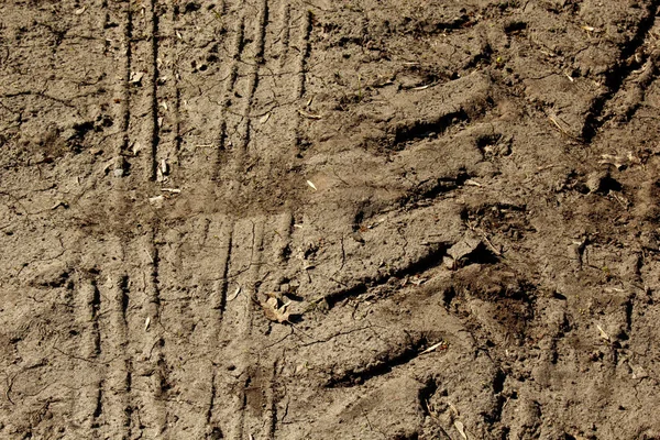 Zandige grond close-up. voetafdruk en tire textuur — Stockfoto