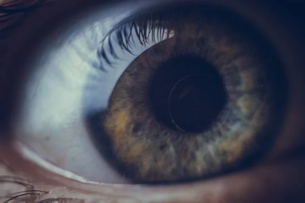 Oczy makro z pęknięcie czerwonych naczyń krwionośnych. oko pokryte krwią bliska. Problemy z widzeniem. szeroko otwarte oko. — Zdjęcie stockowe