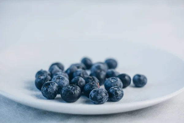 fresh blueberry berries on a white plate close-up. breakfast of wild berries. copy space