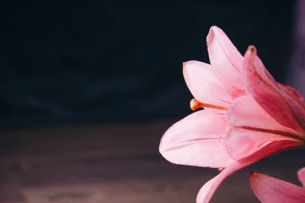 Μπουκέτο λουλουδιών ροζ κρίνο στις ακτίνες του φωτός σε ένα μαύρο φόντο σε ένα ξύλινο ρουστίκ τραπέζι. φρέσκα μπουμπούκια από ένα ανθοφορία φυτό κοντινό-up, αντίγραφο χώρου. πυροβολισμό στο στούντιο. το οικόπεδο της κάρτας διακοπών — Φωτογραφία Αρχείου