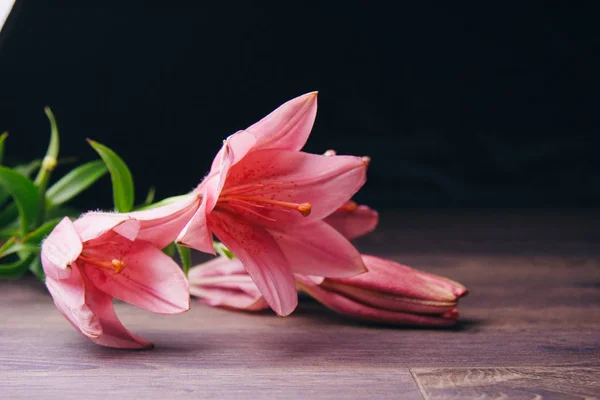 Buquê de flores de lírio rosa nos raios de luz em um fundo preto em uma mesa rústica de madeira. botões frescos de uma fábrica florescente close-up, espaço de cópia. Tiro de estúdio. a parcela do cartão de férias — Fotografia de Stock