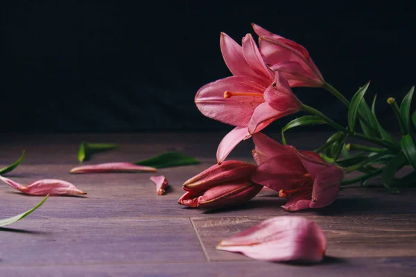 Strauß rosafarbener Lilienblüten in den Lichtstrahlen auf schwarzem Hintergrund auf einem rustikalen Holztisch. frische Knospen einer blühenden Pflanze aus nächster Nähe, Kopierraum. Studioaufnahmen. die Handlung der Urlaubskarte — Stockfoto