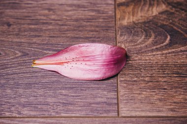 bir vazo yakın çekim ahşap rustik bir masa üzerinde pembe zambak çiçek yaprağı, kopya alanı. stüdyo çekimi. tatil kartının arsa