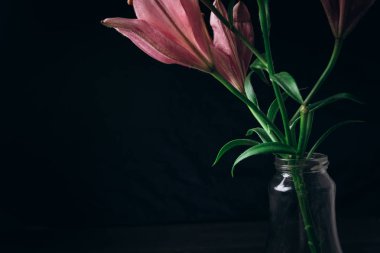 cam bir şişe ahşap rustik masada siyah bir arka plan üzerinde ışık ışınları pembe zambak çiçek buketi. bir vazo yakın çekim çiçekli bir bitkinin taze tomurcukları, kopya alanı. stüdyo çekimi