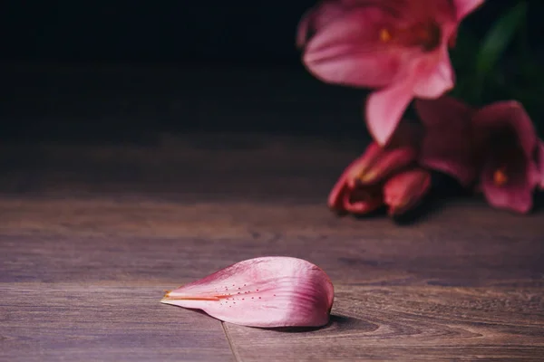 Buquê de flores de lírio rosa nos raios de luz em um fundo preto em uma mesa rústica de madeira. botões frescos de uma fábrica florescente close-up, espaço de cópia. Tiro de estúdio. a parcela do cartão de férias — Fotografia de Stock
