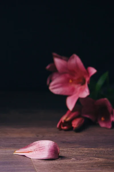 Strauß rosafarbener Lilienblüten in den Lichtstrahlen auf schwarzem Hintergrund auf einem rustikalen Holztisch. frische Knospen einer blühenden Pflanze aus nächster Nähe, Kopierraum. Studioaufnahmen. die Handlung der Urlaubskarte — Stockfoto