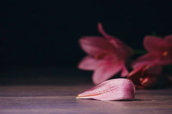 Buquê de flores de lírio rosa nos raios de luz em um fundo preto em uma mesa rústica de madeira. botões frescos de uma fábrica florescente close-up, espaço de cópia. Tiro de estúdio. a parcela do cartão de férias — Fotografia de Stock