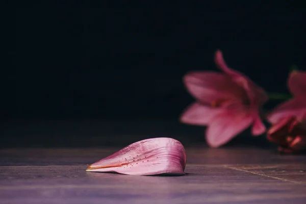 Buquê de flores de lírio rosa nos raios de luz em um fundo preto em uma mesa rústica de madeira. botões frescos de uma fábrica florescente close-up, espaço de cópia. Tiro de estúdio. a parcela do cartão de férias — Fotografia de Stock