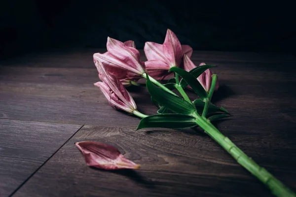 Strauß rosafarbener Lilienblüten in den Lichtstrahlen auf schwarzem Hintergrund auf einem rustikalen Holztisch. frische Knospen einer blühenden Pflanze aus nächster Nähe, Kopierraum. Studioaufnahmen. die Handlung der Urlaubskarte — Stockfoto