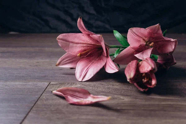 Buquê de flores de lírio rosa nos raios de luz em um fundo preto em uma mesa rústica de madeira. botões frescos de uma fábrica florescente close-up, espaço de cópia. Tiro de estúdio. a parcela do cartão de férias — Fotografia de Stock