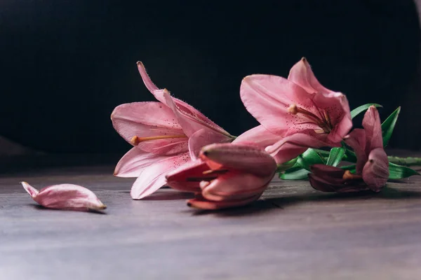 Buquê de flores de lírio rosa nos raios de luz em um fundo preto em uma mesa rústica de madeira. botões frescos de uma fábrica florescente close-up, espaço de cópia. Tiro de estúdio. a parcela do cartão de férias — Fotografia de Stock