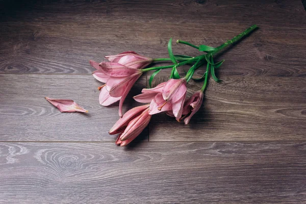 Buquê de flores de lírio rosa nos raios de luz em uma mesa rústica de madeira. botões frescos de uma fábrica florescente close-up, espaço de cópia, visão superior. Tiro de estúdio. a parcela do cartão de férias — Fotografia de Stock