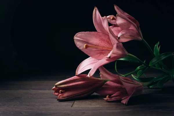 Strauß rosafarbener Lilienblüten in den Lichtstrahlen auf schwarzem Hintergrund auf einem rustikalen Holztisch. frische Knospen einer blühenden Pflanze aus nächster Nähe, Kopierraum. Studioaufnahmen. die Handlung der Urlaubskarte — Stockfoto