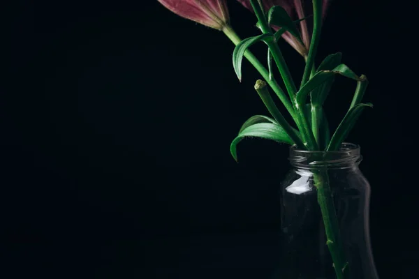 Ramo de flores de lirio rosa en los rayos de luz sobre un fondo negro sobre una mesa rústica de madera en una botella de vidrio. los cogollos frescos de la planta que florece se acercan en el florero, copian el espacio. plano de estudio —  Fotos de Stock