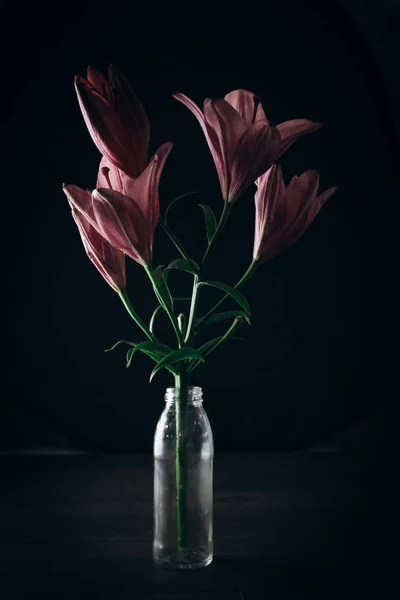 Boeket roze lelie bloeit in de lichtstralen op een zwarte achtergrond op een houten rustieke tafel in een glazen fles. verse toppen van een bloeiende plant close-up in een vaas, kopieer ruimte. Studio schot — Stockfoto