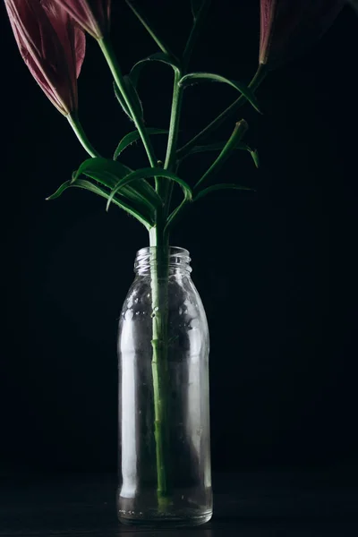 Ramo de flores de lirio rosa en los rayos de luz sobre un fondo negro sobre una mesa rústica de madera en una botella de vidrio. los cogollos frescos de la planta que florece se acercan en el florero, copian el espacio. plano de estudio —  Fotos de Stock