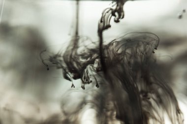 ışık ışınları arasında berrak su ile şeffaf bir cam bardak mürekkep bulutu. Şablon, düzen, arka plan, doku. makro difüzyon siyah beyaz soyutlama