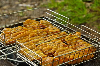 brazier bir ızgara rendeleyin et turşusu küpleri. közler outdors üzerinde barbekü kebap. doğada ızgara piknik. üst görünüm yakın