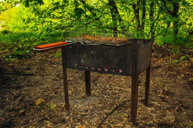 brazier bir ızgara rendeleyin et turşusu küpleri. közler outdors üzerinde barbekü kebap. doğada ızgara piknik. yan görünüm yeşil ağaçların bir arka plan kadar yakın