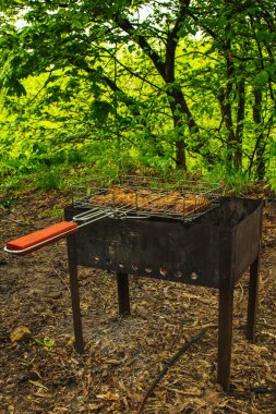 brazier bir ızgara rendeleyin et turşusu küpleri. közler outdors üzerinde barbekü kebap. doğada ızgara piknik. yan görünüm yeşil ağaçların bir arka plan kadar yakın