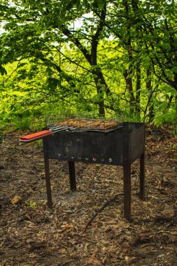 brazier bir ızgara rendeleyin et turşusu küpleri. közler outdors üzerinde barbekü kebap. doğada ızgara piknik. yan görünüm yeşil ağaçların bir arka plan kadar yakın