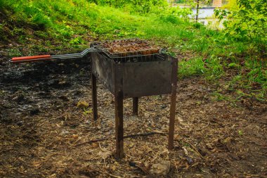 brazier bir ızgara rendeleyin et turşusu küpleri. közler outdors üzerinde barbekü kebap. doğada ızgara piknik. yan görünüm yeşil ağaçların bir arka plan kadar yakın