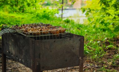 brazier bir ızgara rendeleyin et turşusu küpleri. közler outdors üzerinde barbekü kebap. doğada ızgara piknik. yan görünüm yeşil ağaçların bir arka plan kadar yakın
