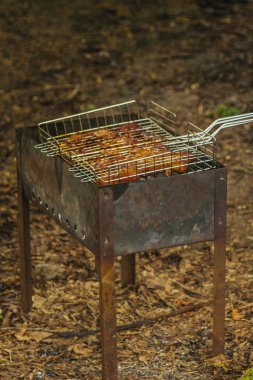 brazier bir ızgara rendeleyin et turşusu küpleri. közler outdors üzerinde barbekü kebap. doğada ızgara piknik. üst görünüm yakın