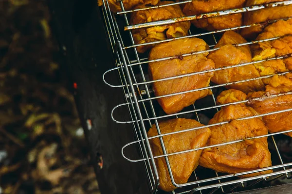 Cubos de carne conservada em escabeche em uma grelha de grelha no braseiro. churrasco kebab em brasas outdors. piquenique grelhado na natureza. vista superior de perto — Fotografia de Stock