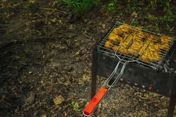 Cubos de carne conservada em escabeche em uma grelha de grelha no braseiro. churrasco kebab em brasas outdors. piquenique grelhado na natureza. vista superior de perto — Fotografia de Stock