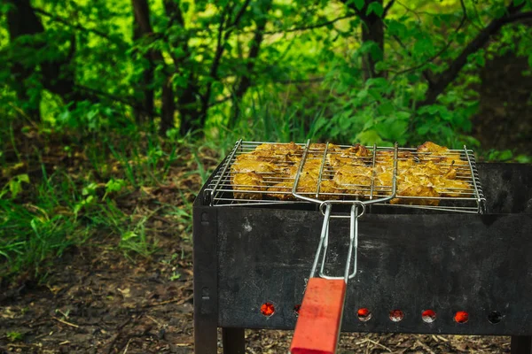 Cubes de viande marinée dans une grille de gril au brasero. kebab barbecue sur les braises à l'extérieur. pique-nique grillé dans la nature. vue de dessus gros plan — Photo
