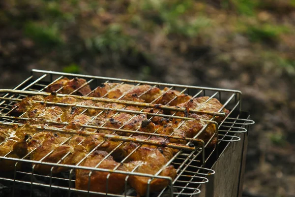 Cubes of pickled meat in a grill grate at brazier. barbecue kebab on embers outdors. grilled picnic in nature. top view close up — Stock Photo, Image
