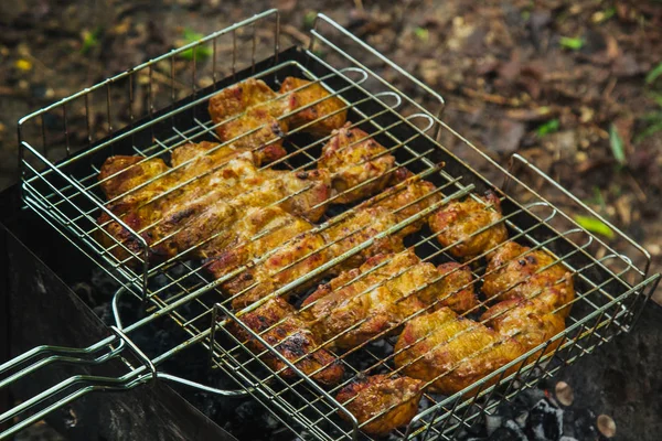 Cubos de carne conservada em escabeche em uma grelha de grelha no braseiro. churrasco kebab em brasas outdors. piquenique grelhado na natureza. vista superior de perto — Fotografia de Stock