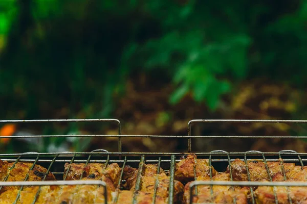 Cubos de carne conservada em escabeche em uma grelha de grelha no braseiro. churrasco kebab em brasas outdors. piquenique grelhado na natureza. vista lateral fechar um fundo de árvores verdes — Fotografia de Stock