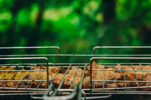 Cubes de viande marinée dans une grille de gril au brasero. kebab barbecue sur les braises à l'extérieur. pique-nique grillé dans la nature. vue de côté fermer un fond d'arbres verts — Photo